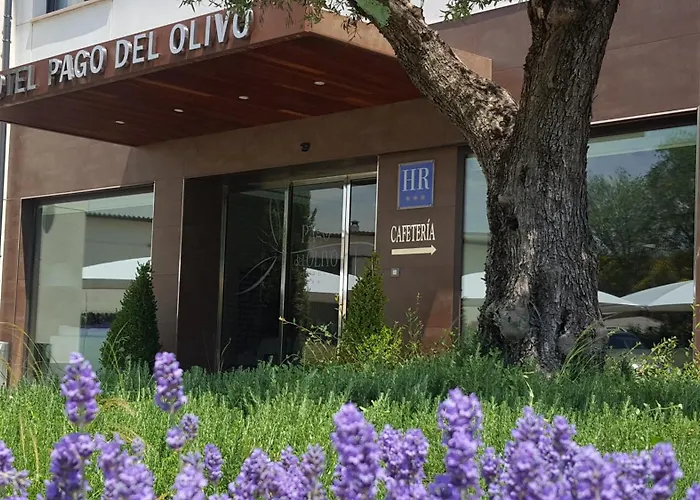 Hotel Pago Del Olivo